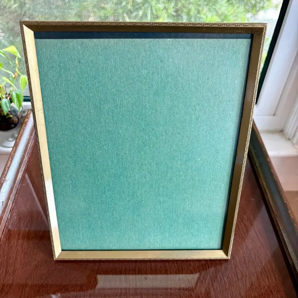 Vintage Gold Tone 8x10 Frame Tinted Glass Velvet Back